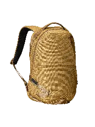 Daily Backpack